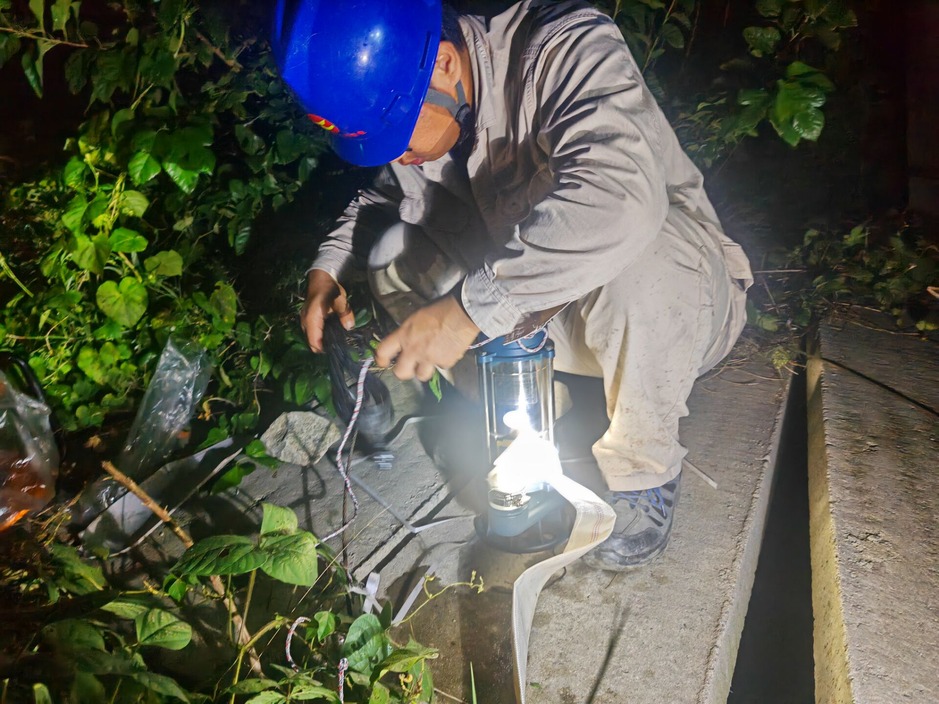 1760576568689 图片1